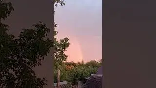Після дощику під вечір🌈🌈🌈 #flowers #farming #nature