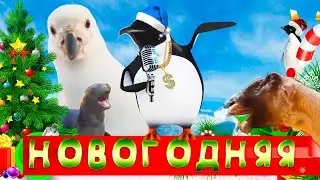 ДИКИЕ ЗВЕРИ поют Новый Год к нам мчится