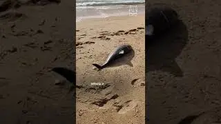 ПОБЕРЕЖЬЕ СМЕРТИ😱😱😱