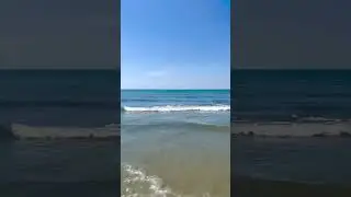 That sweet sweet ocean sound 🌊 🎥: Lowcountrytide (on IG)