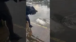 Cuz want to feed a river monster