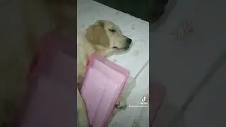 pack my backpack 