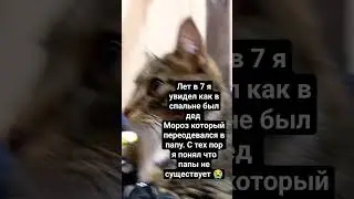 рил видео моë 