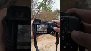 #sony