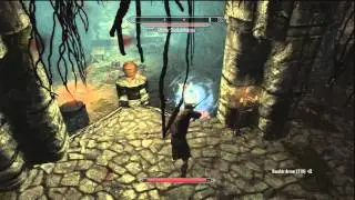 Harvest Blood Skyrim Guaranteed Location Guide