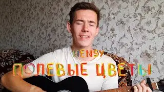 HENSY - ПОЛЕВЫЕ ЦВЕТЫ кавер на гитаре