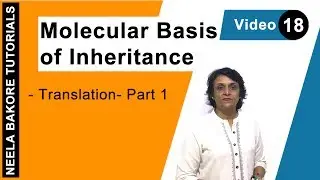 Translation Part 1 | Ribosomes tRNA Activation | NEET Biology Class 12 | Neela Bakore Tutorials