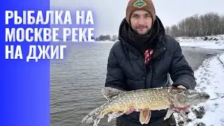 | Рыбалка на москве реке на джиг | Щука | Судак |