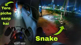 Almost killed a snake on Road 🐍 || snake in chandigarh ||