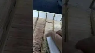 Numizmatika