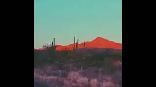 [FREE] Indie Rock x Bedroom Pop Type Beat - 