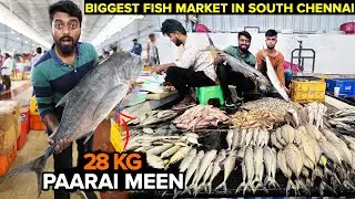BUYING 28kg Paarai மீன் விருந்து & FISH CUTTING - South Chennai's Biggest PSR Fish Market Medavakkam