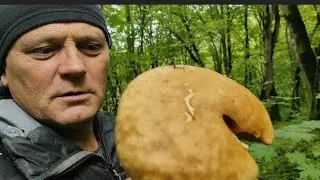 В Адыгею за грибами!!!