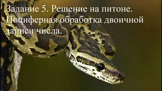 задание 5