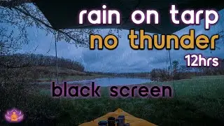 [Black Screen] Rain on Tarp No Thunder | Rain Ambience | Rain Sounds for Sleeping