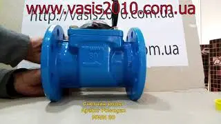 Счетчик воды Apator Powogaz MWN dn 80
