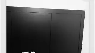 Black accent/feature wall