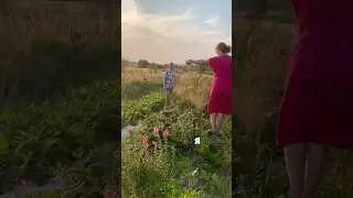 Забор из ивы ИТОГ