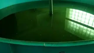 Поездка на рыбную ферму в краснодарском крае