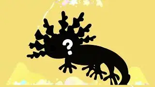 Amar la Ciencia - La maravillosa fauna mexicana