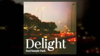 Soul Samples - Delight (Soul, Drake J Cole, Kanye West, Kendrick Lamar, Vintage Sample Pack 2024)