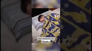 Como despertar a un otaku