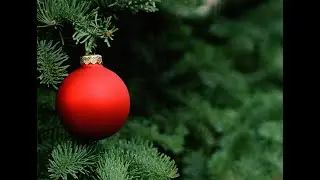 Sermon December 13, 2020