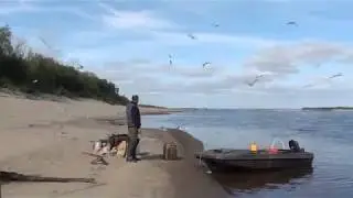 щелино2 или на тоне