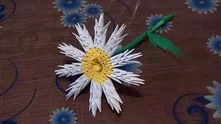 3D origami flower chamomile tutorial instruction