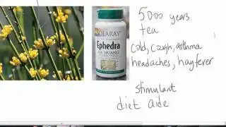 U8Lec21seg2 Ephedra