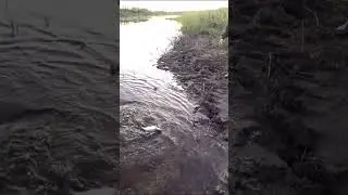 Рыбалка.Лещ,