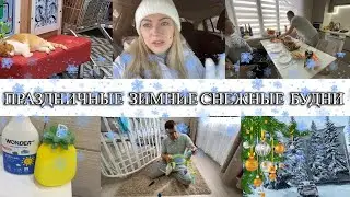 VLOG: Roasting Duck/Cleaning Snow/Walking/Shopping