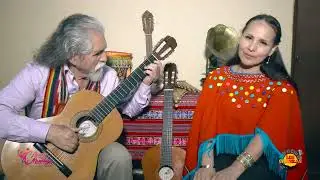 PALOMA DESMEMORIADA.