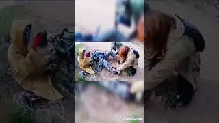 отражение Чернобыля 