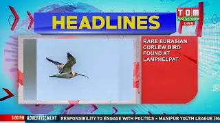 TOP EVENING HEADLINES, 08 APR 2024