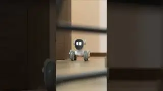 Сын Валли и Евы