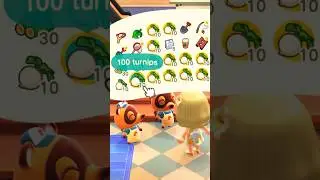 Selling Turnips! (Animal Crossing: New Horizons)