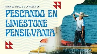 REVELANDO Pesca en Limestone, Pensilvania: Una Guía Práctica
