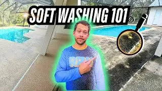soft washing ENTIRE back patio (start to finish)