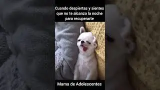 Martes todos con alergia en casa Eso de regresar a la rutina esta tercera semana que 😫 🥱 😩 😫 cansado