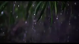 🔴 Study with me | Pomodoro | Soothing Lo-Fi Beats | Lofi Relaxing Music | Lofi Mix