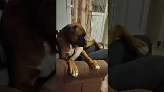 Почешули!!!😁😁😁