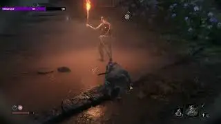 The struggle | sekiro part 5