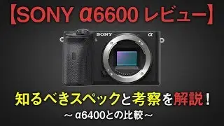 【Sony α6600 a6600 Review】Specs and My Consideration by comparing with α6400 a6400〜