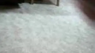 Levitating
