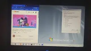 Sharko Punches Zig Has BSOD