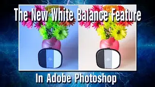 The New White Balance Feature in Adobe Photoshop - (Jpeg vs Raw files)