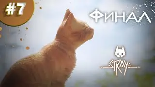 Прохождение Stray #7 Финал