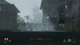 [Sekiro] Two WOO Guys