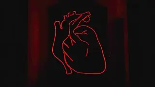 Maduk & Lexurus - Follow My Heart